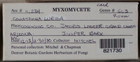 Image Associated With the Occurence